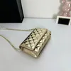 Arrivo 9 giorni Arrivo Luxury Womens Bullo Bagbskin Fortune Borse Crossbody Borse Classic Borse Chain Bag Designer Fashion Borse Wholesale all'ingrosso