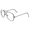 Zonnebril Dames Heren Ultralichte hars Oversized metalen bijziendheid Bril Oogzorgbril