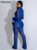豪華なメッシュ縞模様の縞模様のワイドレッグジャンプスーツの女性セクシーなクラブパーティーフェザースリーブロンパープレイスーツの衣装240112を見る