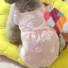 Vêtements de chien Été Pet Princesse Robe Dentelle Bord Bow Cravate Florale Broderie Sling Chat Chiot Kitty Vêtements Petite Jupe Moyenne Pour L'extérieur