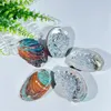 Natural Abalone Shell Large Sea Shells Nautical Home Decor Soap Dish Diy Fish Tank Aquarium Landscape Wedding Decor