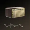 Alto -falantes Wooden BluetoothCompatible 5.0 alto -falante retro clássico SoundBox estéreo Surround Super Bass Subwoofer Aux FM Radio para computador PC