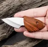 Rostfritt stål Mini Fish Knife Ultra Small Portable Pocket Knife Express Open Box Keychain EDC Small Emergency Self Defense Knives