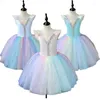 Stage Wear Jupe de ballet pour enfants Fille Fluffy Fil Little Swan Dance Robe de performance colorée