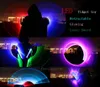 LED Fidget Toy Laser Sword 2 in 1 Lightsaber Color Color格納式誘導光ギフト