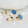 Kolczyki Dangle Amaiyllis 18K Gold Vintage Blue Oil kroplówka Paintowane Stud Luksusowy nisza owalna biżuteria