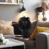 Kat Kostuums Duurzaam Huisdier Cosplay Hoofddeksels Kostuum Accessoires Leeuw Manen Ontwerp Decoratie Creatieve Pruik Hond Hoed Decoratief