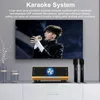 Microphones Système de machine de karaoké familial Microphone sans fil UHF portable BT Haut-parleur sans fil Home Cinéma KTV AUX IN U Disk Music Player