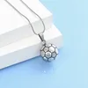 Hanger Kettingen Voetbal Urn Ketting Voor Mens/Huisdier As Crematie Gedenkteken Aandenken Roestvrij Staal Aanpassen Sieraden Mannen