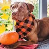 30st Thanksgiving Christmas Dog Bandana Bulk Pumpkin Bibbs Fall Triangle Scarf för små medium stora husdjur 240113