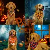 50st Dog Bandana Halloween Pet levererar Small Cat Puppy Bandanas Scarf Holiday Accessories Pumpkin Skull Dogs 240113