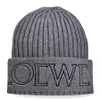 2024 neue Gestrickte Hut Mode Kappe Beliebte Warme Winddicht Stretch Hochwertige Beanie Hüte P-12