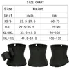 9 Entrenador de cintura de hueso de acero moldeador de cuerpo Cinturón ajustable Control de barriga Snatch Me Up Wrap Stretch Band Slim Body Shaper Mujeres 240113