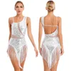 Stage Wear Womens Fringed Latin Dance Dress Sequin Tassel Leotard Samba Tango Cha-cha Dancewear Ballroom Competition Performance Costume