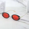 Steampunk Style Women Personality Small Frame Sunglasses Men Fashion Glasses 2022 New