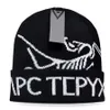 2024 New Knitted Hat Fashion Cap Popular Warm Windproof Stretch High-quality Beanie Hats P-5