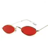 Lunettes de soleil mode tendance femme lunettes de soleil forme ovale élégant cadre en métal hommes femmes vintage rétro lunettes de soleil femme