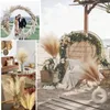 Decorative Flowers Fluffy Tall Pampas Grass Boho Artificial Home Bedroom Decoration Reed Wedding Party Christmas Decor Flower