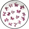 Decorative Flowers Pansy Butterfly Dried Decoration For Paint Seal Material 120Pcs