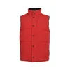 gilet da uomo firmato piumino a righe scozzesi antivento impermeabile caldo confortevole Etichetta rossa marchio trench stile classico motivo ricamato senza maniche taglia s m l xl xxl