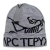 2024 New Knitted Hat Fashion Cap Popular Warm Windproof Stretch High-quality Beanie Hats P-5