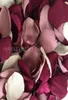 Pétales de couleur supplémentaire pour les mariages, fleur douce, pétale de Rose, 100 pièces, Lot9018463