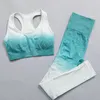 Actieve sets Naadloze yogaset Kleurverloop Sportbeha Shirts met lange mouwen Gymkleding Fitnesspak Heupleggings Damessportkleding