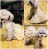 Abbigliamento per cani Abito bling Gonna tutù Pet Cat Abiti estivi da sposa principessa di lusso per cani di piccola taglia