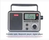 Radio Tecsun RP309 Radio Portable DSP Tecsun Rp309 WAV Ape FLAC Bluetooth FM SW USB TF carte SD MP3