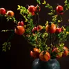 Flores decorativas, ramas de frutas artificiales, rama de fruta de Granada simulada, flor de baya, decoración del hogar, adorno, accesorios Po