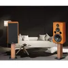 f109 10-inch 200W drieweg boekenplank krachtige luidspreker van vloer tot plafond Hifi Audio passieve thuisbioscoopliefhebber luidspreker 240113