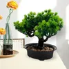 Dekorative Blumen, künstlicher Bonsai-Baum, realistische Pflanze im Topf, Kiefernornament