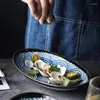 Tallrikar handmålade japanska ovala hushåll keramiska långa plattor frukt grunt munnsallad middag