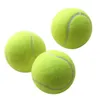 HappyFun Palline da tennis Confezione da 10 Palline da tennis da allenamento Palline da allenamento ad alta elasticità Palline da gioco per cani da compagnia adatte 240113