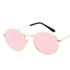 Lunettes de soleil ovales pour femmes, claires, tendance, en alliage, pour adultes, noires