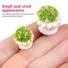 Garden Decorations 13 PCS Mini Flowerpot Model Potted Plants House Decor Dolls Bonsai Fake Succulent Props Plastic Miniature