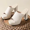 Slippers Hoge Hakken Platform Vrouwen Chunky Slippers Schoenen 2024 Zomer Peep Toe Sandalen Merk Strand Slingback Pompen Slides Femme