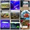 Portable Mini Betta Fish Tank Aquarium Desktop Decorations Marine Aquaponic Fishes Bowl With Water Fliter USB Air Pump LED Light 240113