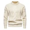 Automne et hiver pull solide Jacquard décontracté chaud pull pulls hommes vêtements 240115