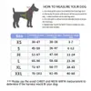 Imbracatura per cani NO PULL Gilet per imbracatura per animali regolabile traspirante e riflettente con toppa personalizzata ID Forniture per cani da passeggio per esterni 240115