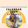 Calendario Cat Butthole Calendar 2024 Cat Balls Calendar 25 * 38Cm Funny Cat Butthole Calendar Calendario de 12 meses Cat Balls para Notesvaiduryd