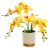 Fleurs décoratives plantes fleur artificielle 1 Pc 13 pouces décoration cadeau fond doré maison Phalaenopsis bonsaï plastique simulé