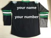 Maillot de hockey Sioux de combat du Dakota du Nord personnalisé pour hommes, n'importe quel nom, n'importe quel numéro, vert, blanc, noir, maillots cousus par l'université