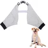 Abbigliamento per cani morbido bidone traspirante per protezione da recupero elastico fascia elastica gambe anteriori lavabili per esterni per esterni neri grigio leggero