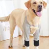 Abbigliamento per cani morbido bidone traspirante per protezione da recupero elastico fascia elastica gambe anteriori lavabili per esterni per esterni neri grigio leggero