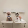 Hondenkleding Love Fluff Dierenkleding Katten en honden Kostuums Teddy Bichon Trui Klein Middelgroot Herfst Winter