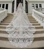 Luxury 1 Tier Wedding Veils Custom Made 2019 Cathedral Long Lace Applicques Bridal Veil Top Quality4875913