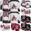 Anpassade herrkvinnor Youth Arizona Hockey Coyotes Jerseys 70 Karel Vejmelka 14 Shayne Gostisbhere 12 Nick Ritchie 17 Nick Bjugstad 19 Troy Terry 90 J.J. Moser 9 Clayt 64