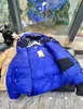 女性ショートコート冬のジャケットレディースクラシックカナダ長袖デザイナーパーカスファッションパフコートラグジュアリーレター格子縞の温かいジャケットZ6