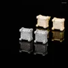 Boucles d'oreilles de luxe en argent Sterling 925 pur Cube Hiphop hommes femmes boucle d'oreille plein Zircon diamant Plaitnum placage broche à visser